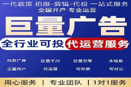抖音信息流代理在电商行业的应用案例分析